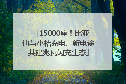 15000座！比亚迪与小桔充电、新电途共建兆瓦闪充生态