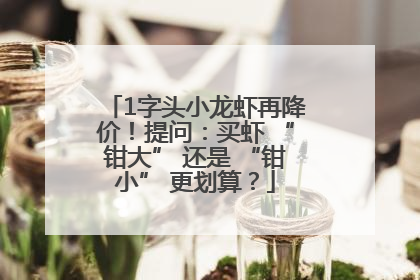 1字头小龙虾再降价！提问：买虾 “钳大” 还是 “钳小” 更划算？