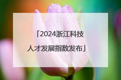 2024浙江科技人才发展指数发布