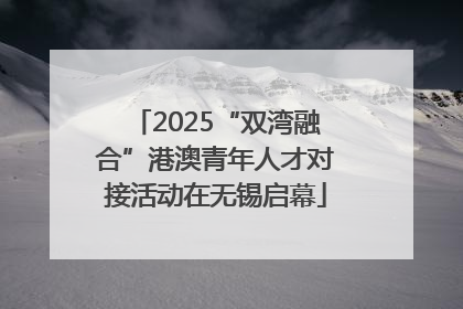 2025“双湾融合”港澳青年人才对接活动在无锡启幕