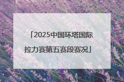 2025中国环塔国际拉力赛第五赛段赛况