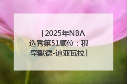 2025年NBA选秀第51顺位：穆罕默德-迪亚瓦拉