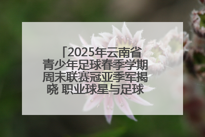 2025年云南省青少年足球春季学期周末联赛冠亚季军揭晓 职业球星与足球小将共享荣耀时刻