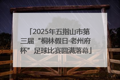 2025年五指山市第三届“桐林假日·老州府杯”足球比赛圆满落幕