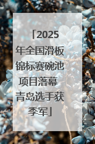 2025年全国滑板锦标赛碗池项目落幕 青岛选手获季军