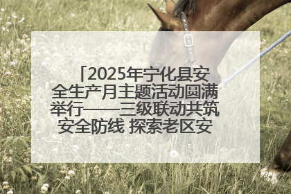 2025年宁化县安全生产月主题活动圆满举行——三级联动共筑安全防线 探索老区安全发展新路径
