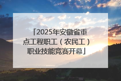 2025年安徽省重点工程职工（农民工）职业技能竞赛开幕