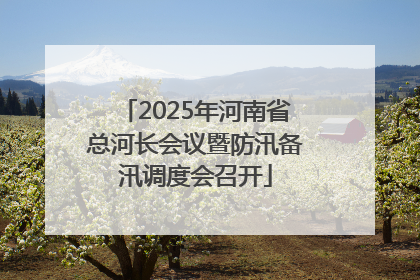2025年河南省总河长会议暨防汛备汛调度会召开
