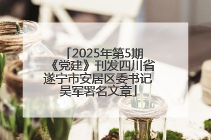 2025年第5期《党建》刊发四川省遂宁市安居区委书记吴军署名文章