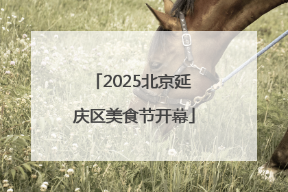 2025北京延庆区美食节开幕