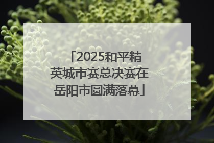 2025和平精英城市赛总决赛在岳阳市圆满落幕