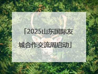 2025山东国际友城合作交流周启动