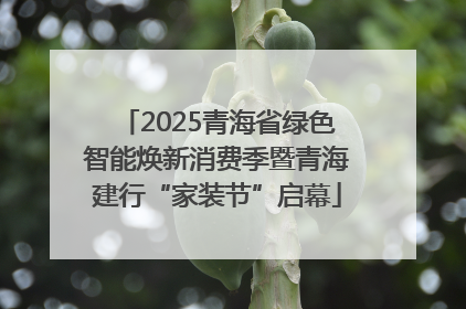 2025青海省绿色智能焕新消费季暨青海建行“家装节”启幕