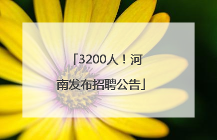 3200人！河南发布招聘公告