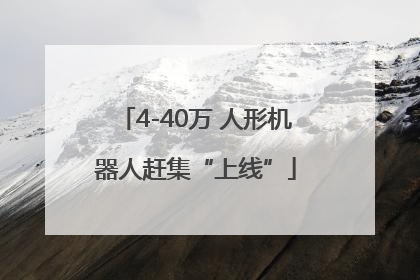 4-40万 人形机器人赶集“上线”