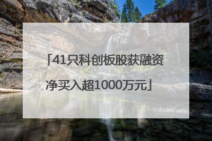 41只科创板股获融资净买入超1000万元
