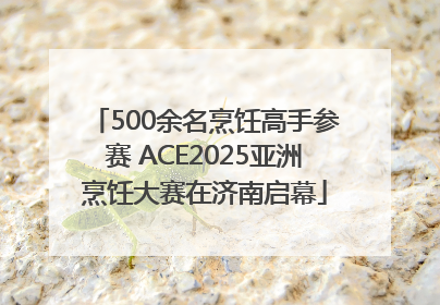 500余名烹饪高手参赛 ACE2025亚洲烹饪大赛在济南启幕