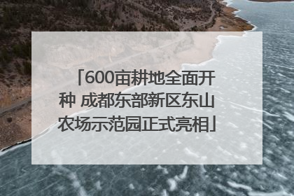 600亩耕地全面开种 成都东部新区东山农场示范园正式亮相