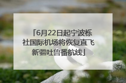 6月22日起宁波栎社国际机场将恢复直飞新疆吐鲁番航线
