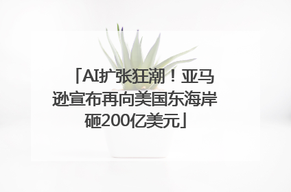 AI扩张狂潮！亚马逊宣布再向美国东海岸砸200亿美元