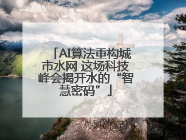 AI算法重构城市水网 这场科技峰会揭开水的“智慧密码”