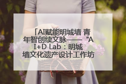 AI赋能明城墙 青年智创续文脉——“AI+D Lab：明城墙文化遗产设计工作坊”在南京开营