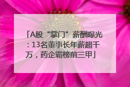 A股“掌门”薪酬曝光：13名董事长年薪超千万，药企霸榜前三甲