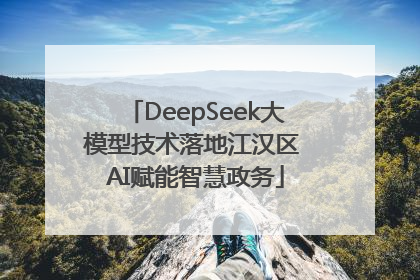 DeepSeek大模型技术落地江汉区 AI赋能智慧政务