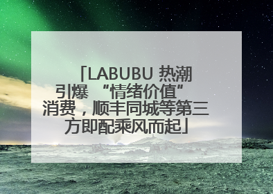 LABUBU 热潮引爆 “情绪价值” 消费，顺丰同城等第三方即配乘风而起